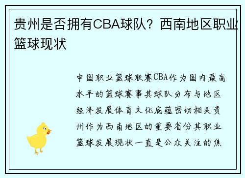 贵州是否拥有CBA球队？西南地区职业篮球现状