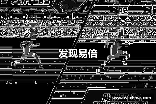 发现易倍